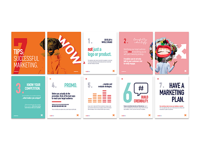 Brand Collateral art direction artworking branding graphic design instagram ads typography