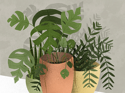 60 | one plant a day