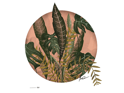 61 | circled plant series