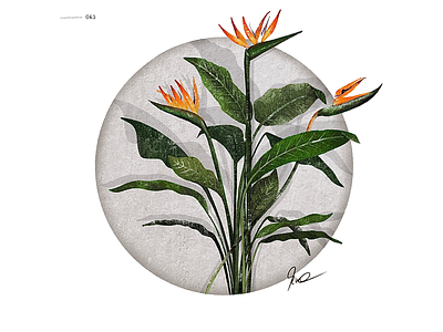 63 | circled plants series