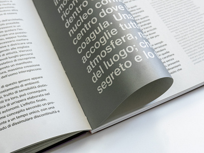 Storie Italiane. Fotogrammi di interni e architetture d'autore book book design catalog catalog design monograph neue haas grotesk new offset sans serif silver type typography