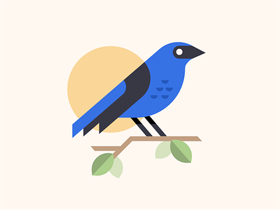 Indigo Bunting app art bird clean design flat icon iconography illustration layout minimal minimalistic type typography web website