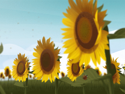 Buzzzzzzzzzzz bee bugs daylight field outside plants sun sunflower