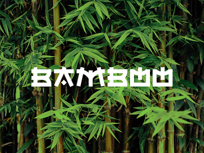 Bamboo asia bamboo bamboo logo china chinese concept japan japanese design panda