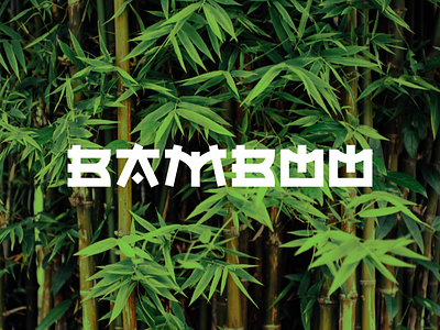 Bamboo