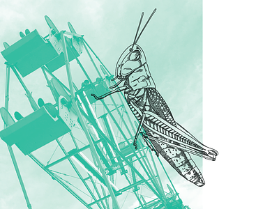 Sneak Peek book bug cricket holiday illustration whimsy