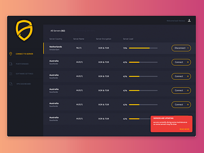 VPN Software design ui ux