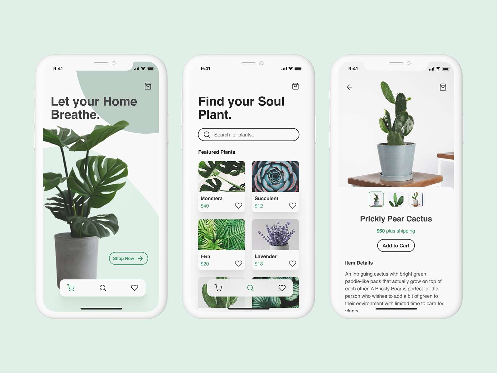 Plant E-Commerce App by Salsi Salama on Dribbble