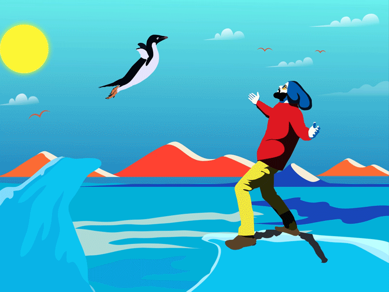 How to be friends with penguin after effects animation coolart designersden gif graphicdesign happy feet illustration motion graphics penguin vectorart