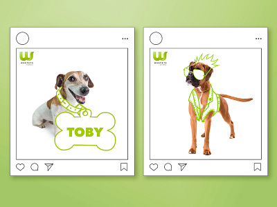 WeePets | Social Media posts branding dog hand drawn illustration instagram instagram design instagram post insurance insurance solutions marketing marketing campaign marketing design pets plug and play post social media social media design social media graphics social media post startup