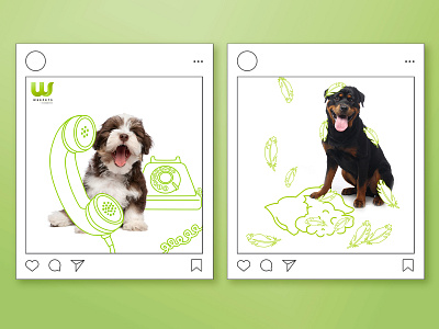 WeePets | Social Media posts branding hand drawn illustration instagram instagram design instagram post insurance insurance solutions marketing marketing campaign marketing design pets plug and play post social media social media design social media graphics social media post startup