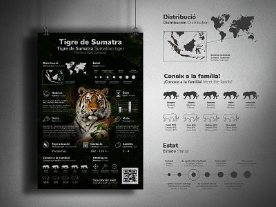 Sumatran Tiger - Infographic chart data data visualization data viz graph graphic graphic design icon illustration infographic infographic design information design poster poster design sumatran tiger tiger tigre vector wild life wwf