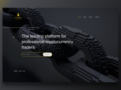 Cryptocurrency UI Concept