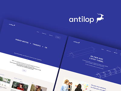 Antilop antilop branding ecommerce logo webdesign
