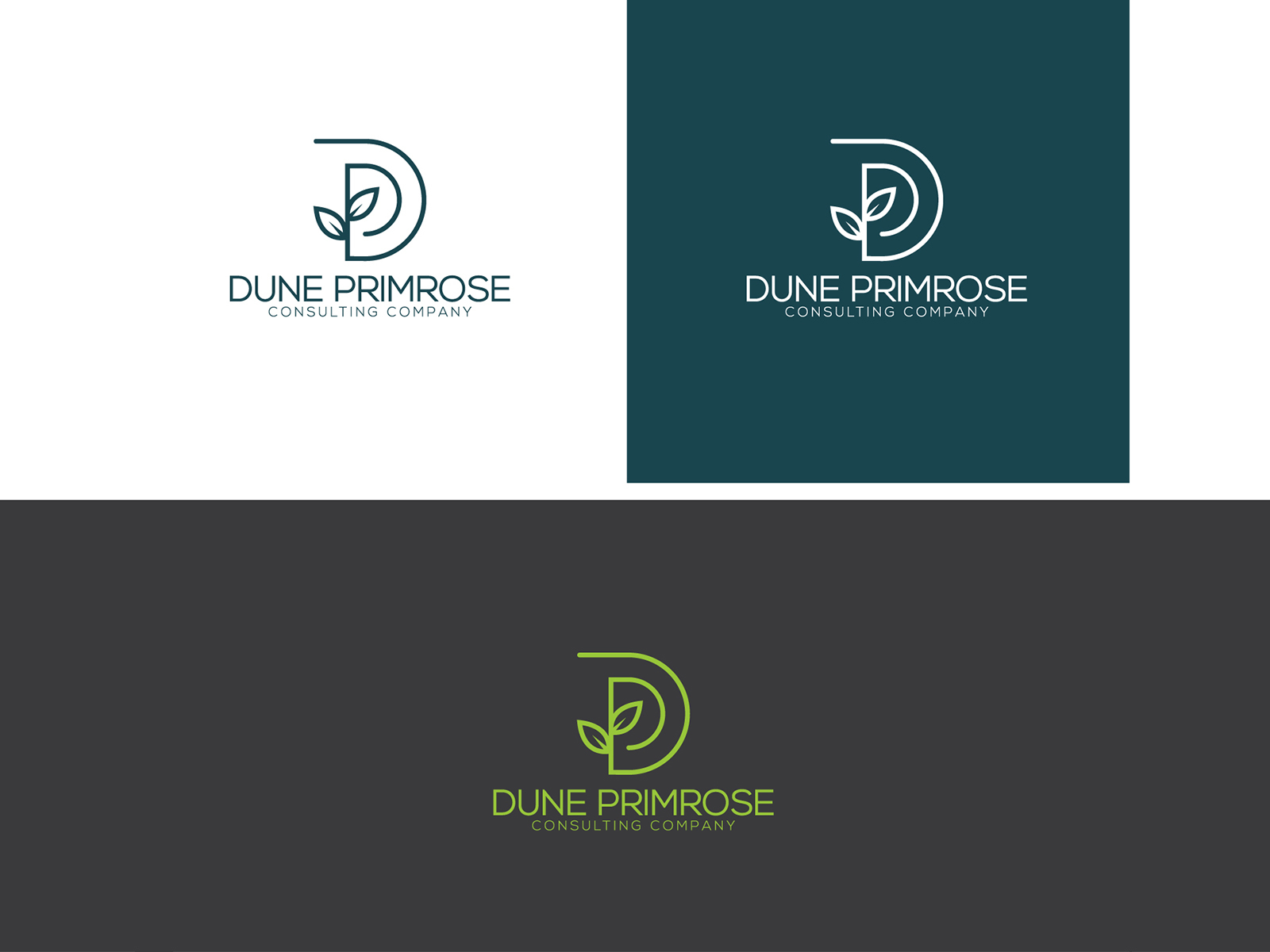 Logo Design Project For Dune Primrose by IMRAN SHEIKH on Dribbble