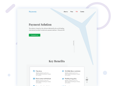Payment Solution Website finance graphic design identity design uiux web design