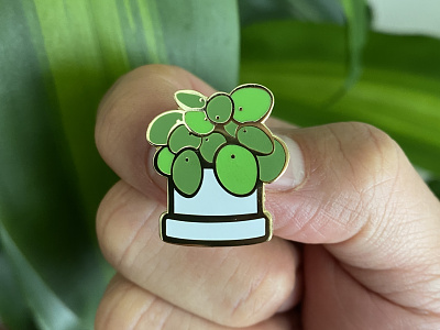 Pilea Plant Pin chinese money plant cute pin enamel pin illustrator pilea plant daddy plant drawing plant mom plant pin product design