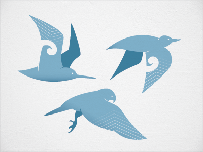 Birds: Refined birds blue drawing koru sketch vector wip