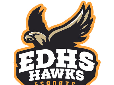 EDHS Hawks Esports graphic design illustration logo