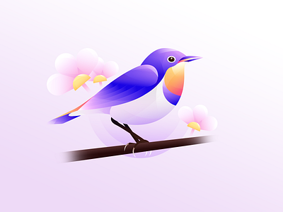 Bird bird bluethroat design illustration logo