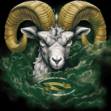 CSU Rams Art (Local Artist Collection)