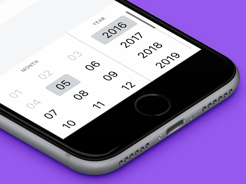 BT Date Picker credit card form braintree ios data input