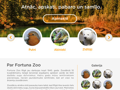 Fortuna Zoo animals webdesign zoo