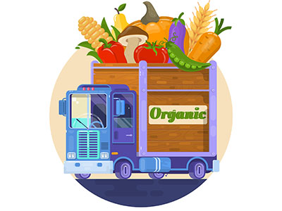 Delivery of organic food by Dmytro Novitskyi on Dribbble