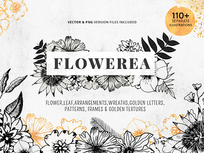 Flowerea A Collection Of Pen Drawn Floral Graphics Bundle Image arrangement cards floral flower frames golden illustration leaf lettering packaging template textures wedding wreaths