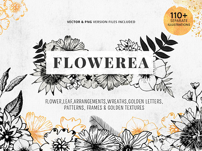 Flowerea A Collection Of Pen Drawn Floral Graphics Bundle Image