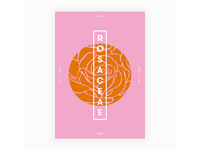 Day 67 - Rosaceae