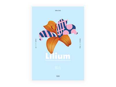 Day 86 👉 Lilium art color cool daily design flower graphic illustration layout poster type