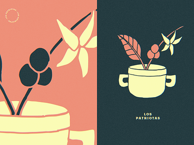Los Patriotas / Posters ☕️ coffee coffee shop illustration organic