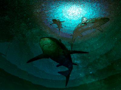 Sharks In Space Print