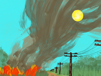 Cane Fire editorial illustration