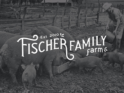 Fischer Family Farm - Alternate Logo cattle farm farm brand farm logo farmer logo vintage