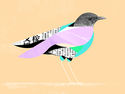 Bird bird collage japan shapes