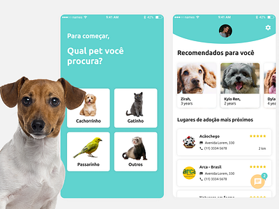 app de adoção app cute design dog home pet ui uiux ux
