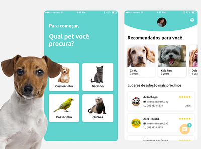 app de adoção app cute design dog home pet ui uiux ux