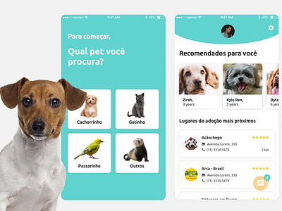 app de adoção