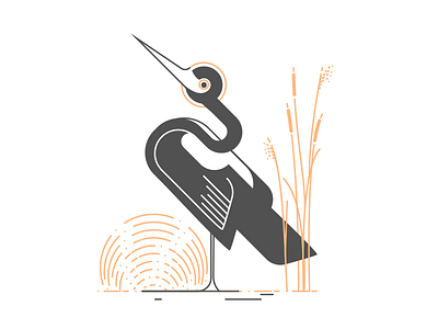 Bird egret reed