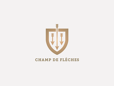 Champ De Fléches