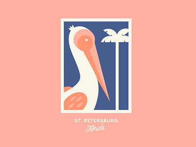 St. Pete bird florida stpeteflorida stpeteflorida tropical