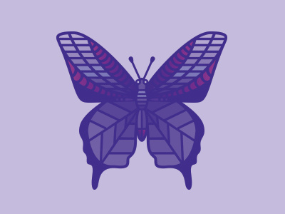 Butterfly Icon