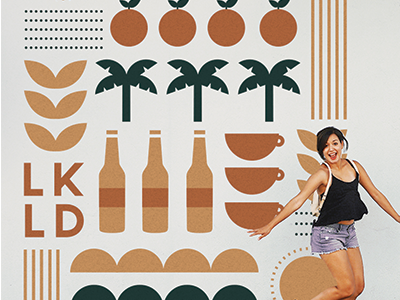 Mural/Decal Concept flat florida icon icons oranges tropical vector