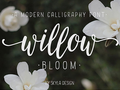 Willow Bloom, a modern calligraphy font brush calligraphy cursive feminine font handlettering handwritten invite logo modern script wedding