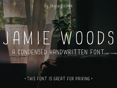 Condensed Sans Serif Font, Jamie Woods condensed font fonts handlettering handwritten pairing sans serif skinny thin type vintage