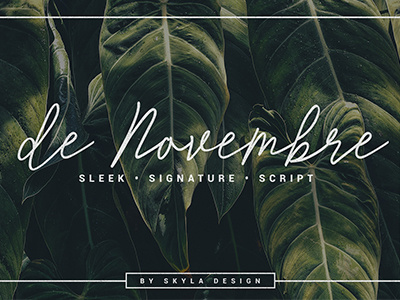 De Novembre Font by Skyla Design de novembre font script signature skyla design sleek stylish