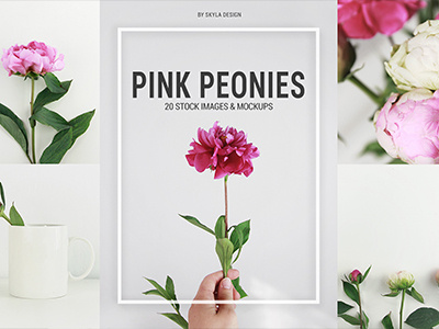 Pink Peonies Stock Photo's by Skyla Design