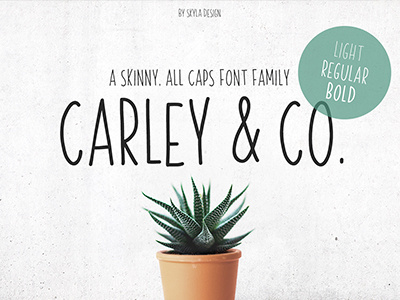 Carley Co Font Family Skyla Design carley co condensed design font handwritten sans serif skinny skyla